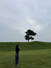 🌳 청주 정북동토성, 드넓은 초원 위 인생샷 🌿