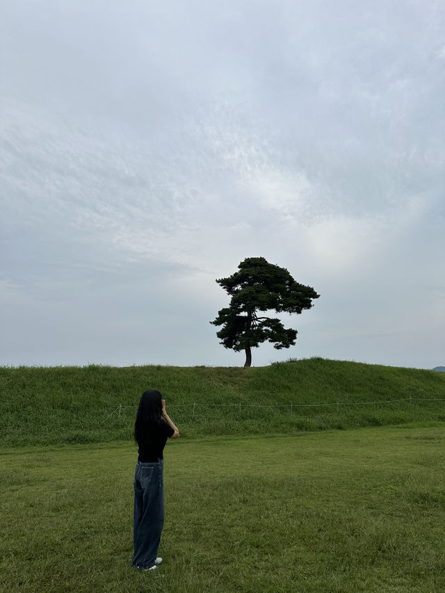 🌳 청주 정북동토성, 드넓은 초원 위 인생샷 🌿