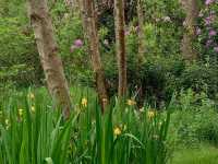 Upper Gardens