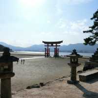 海中島居+海上神社+神之使者一在嚴島神社散策