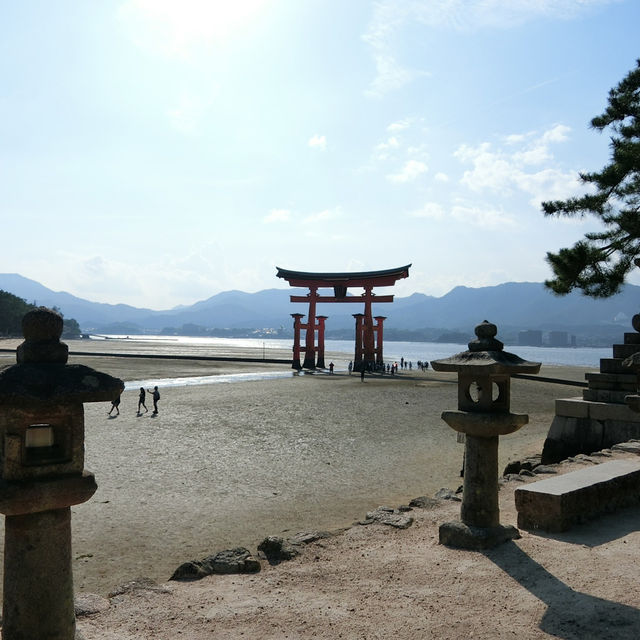 海中島居+海上神社+神之使者一在嚴島神社散策