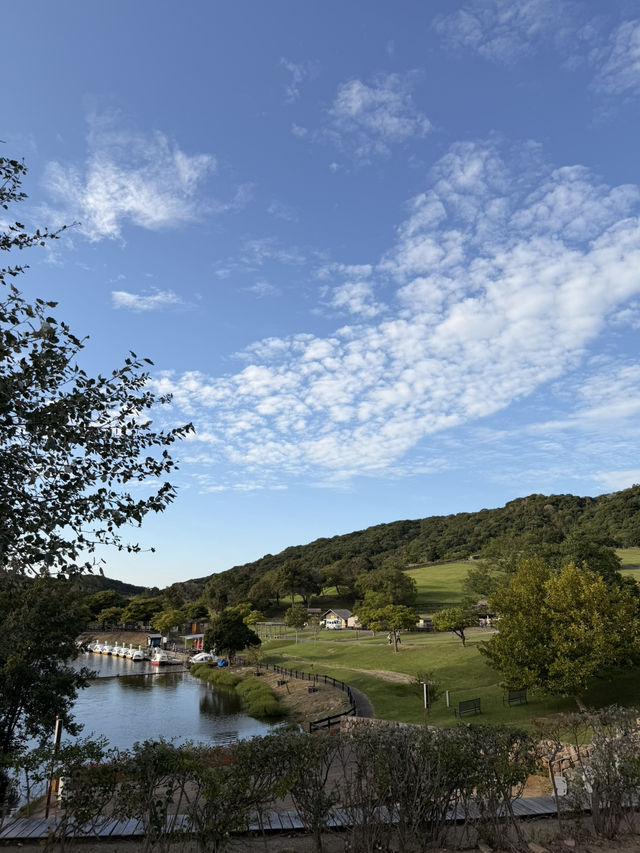 【淡路島】本物のコアラに間近で会える！秋の魅力たっぷりスポット