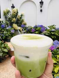 Erhai Lake - Cycling, Matcha + Coffee & Hydrangeas Cafe 