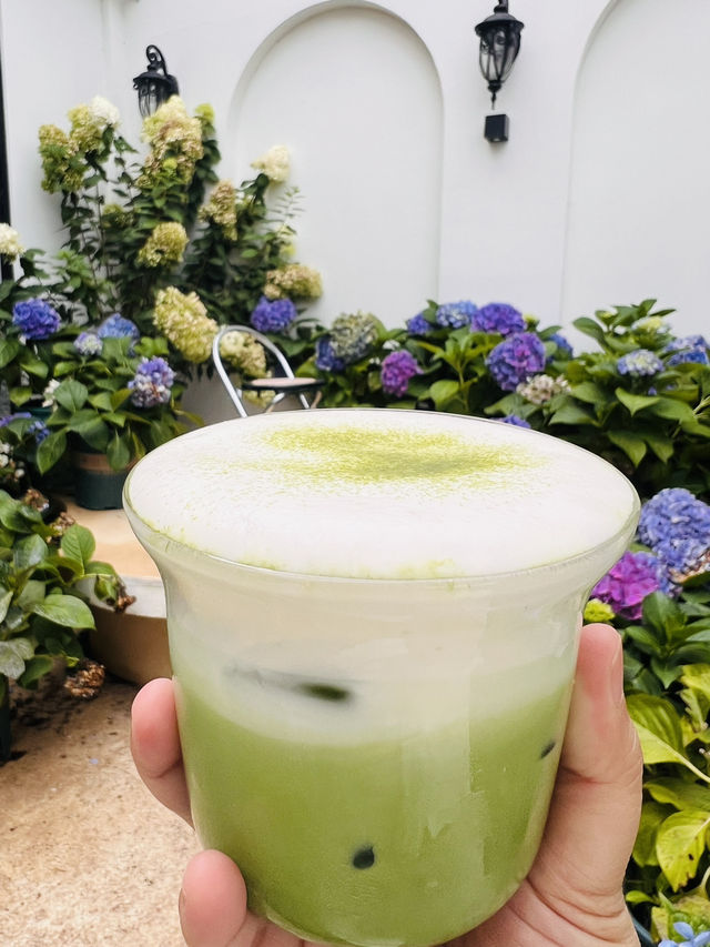 Erhai Lake - Cycling, Matcha + Coffee & Hydrangeas Cafe 