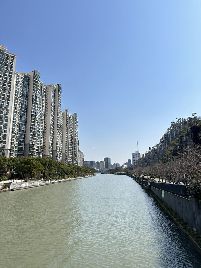 🌳🏙️ 1000 Trees Shanghai — เมืองก็มีป่าได้!