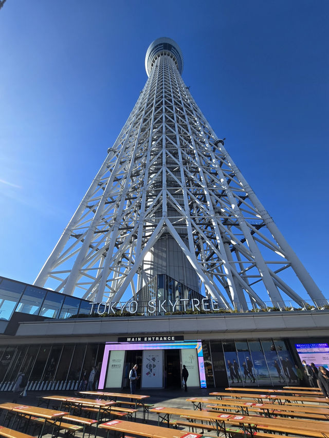 Tokyo Skyline Magic🍦  