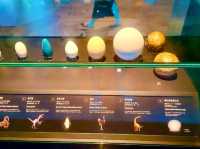 Hands-On Fun at the Hong Kong Science Museum