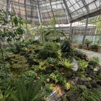 Halla Arboretum, Jeju Island,S.Korea