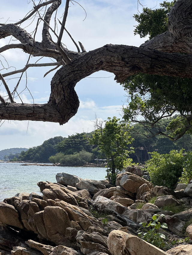 อ่าวไผ่ 📍เกาะเสม็ด ✨🏖️