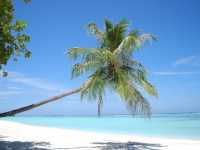 Maldives Desert Islands -  Uninhabited Island