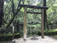【福井・白山神社平泉寺🌿】苔の聖地で感じる静寂と神仏習合