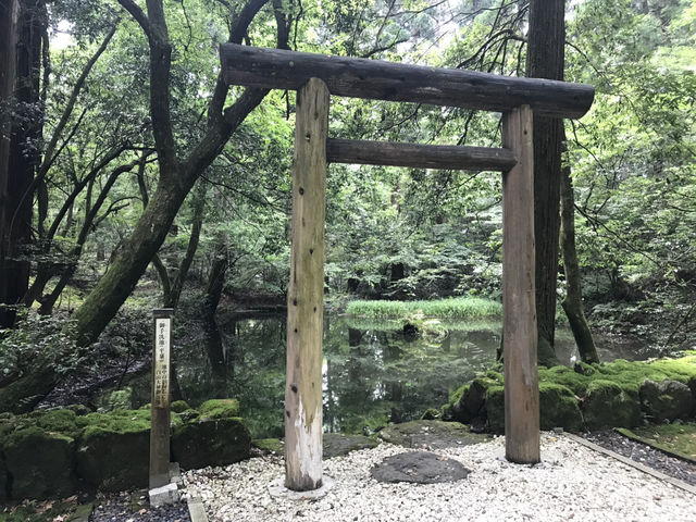 【福井・白山神社平泉寺🌿】苔の聖地で感じる静寂と神仏習合
