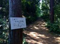 【福井・文殊山⛰】智恵の山で登山＆絶景パノラマを楽しむ