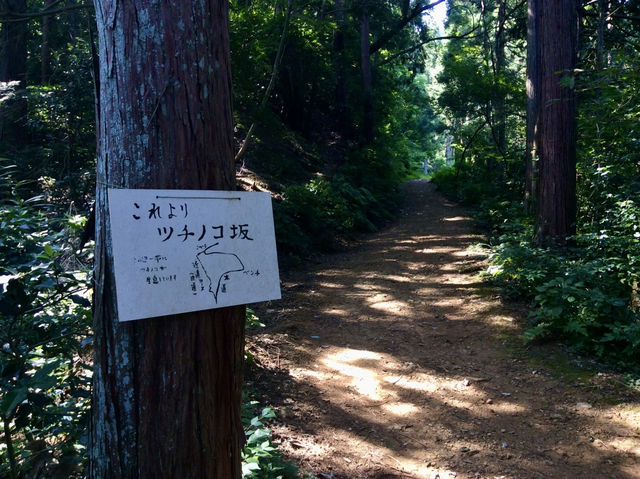 【福井・文殊山⛰】智恵の山で登山＆絶景パノラマを楽しむ