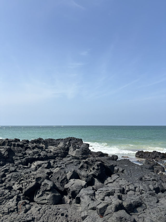 🌿제주도 감성 한가득, 먹고 보고 느낀 루트