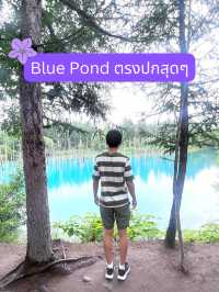 🪻วางแผน one day trip Asahikawa-biei-furano🪻