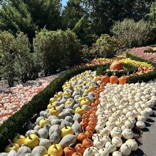 亞特蘭大植物園