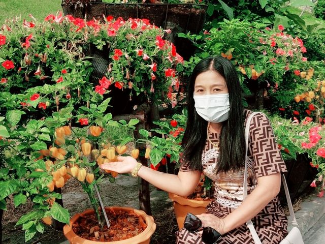 งานเมล็ดพันธุ์ บริษัทศรแดง