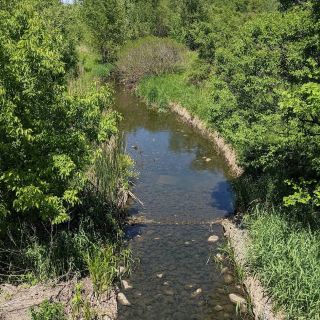 哈文伍茲州立森林公園 – 密爾瓦基的自然城市綠洲