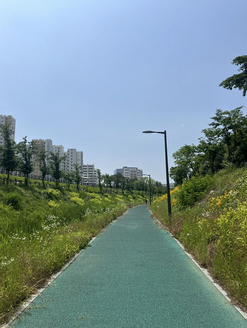 자연 따라 걷는 도심 속 산책길, 송파둘레길 나들이