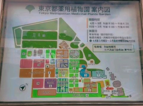 Discovering Nature’s Pharmacy at Tokyo Medicinal Plant Garden 🌿 Discovering Nature’s Pharmacy at Tokyo Medicinal Plant Garden 🌿