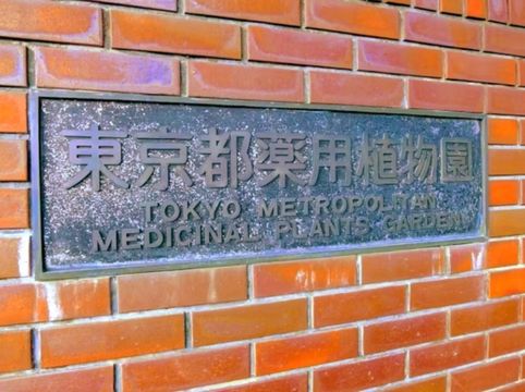 Discovering Nature’s Pharmacy at Tokyo Medicinal Plant Garden 🌿 Discovering Nature’s Pharmacy at Tokyo Medicinal Plant Garden 🌿