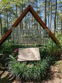 A Forest Sanctuary at Orchid Forest Cikole