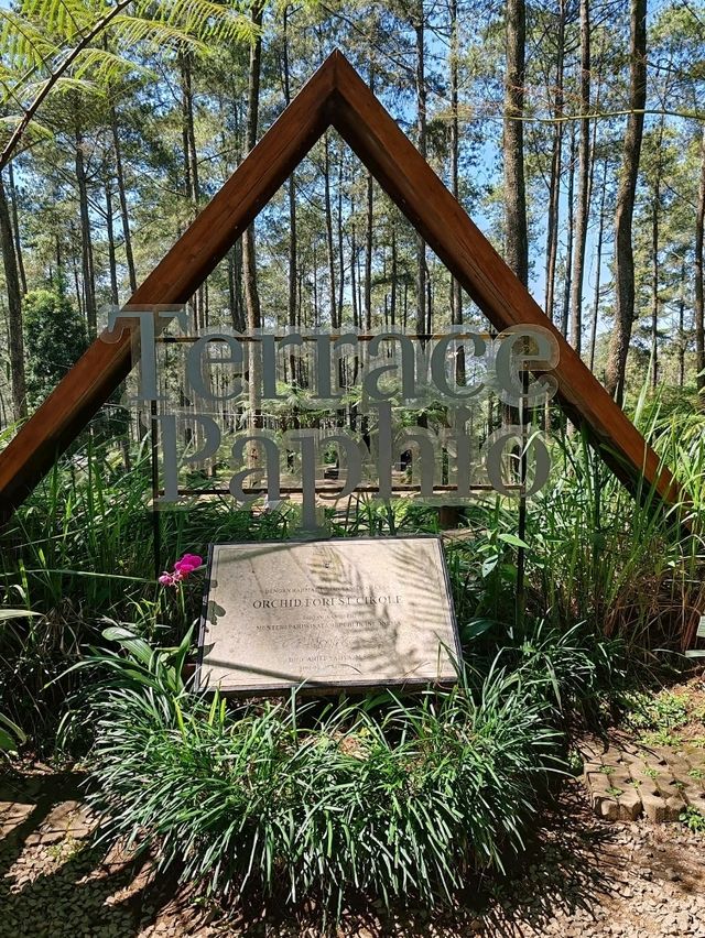 A Forest Sanctuary at Orchid Forest Cikole A Forest Sanctuary at Orchid Forest Cikole