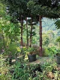 Mountain Retreat at Farmhouse Susu Lembang