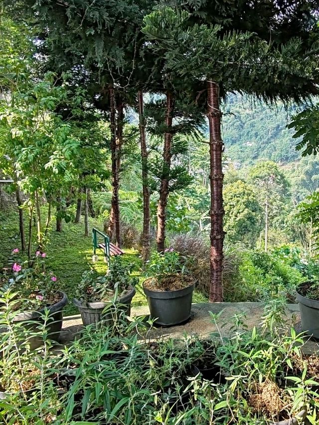 Mountain Retreat at Farmhouse Susu Lembang Mountain Retreat at Farmhouse Susu Lembang