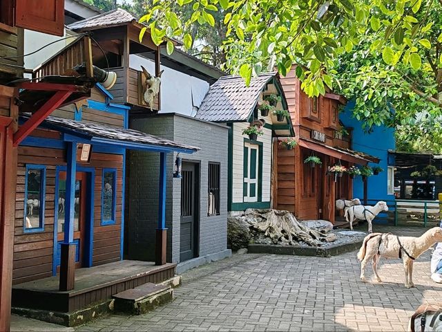 Farmhouse Susu Lembang Scenery