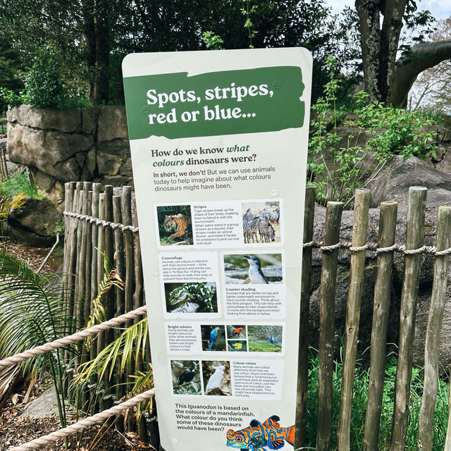 Auckland Zoo: ครึ่งวันที่เต็มไปด้วยความสนุกสนาน Auckland Zoo: ครึ่งวันที่เต็มไปด้วยความสนุกสนาน