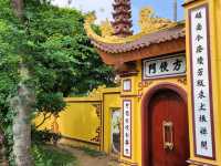 Temple Tranquility🌳