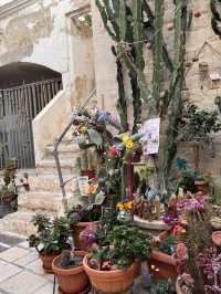 바다 위에 떠 있는 흰 도시, 폴리냐노 아 마레