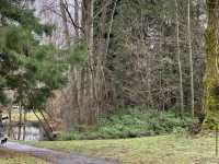 Queen Elizabeth Park