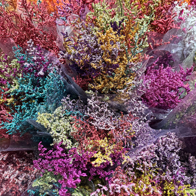 영원한 봄의 도시, 꽃이 지지않는 쿤밍