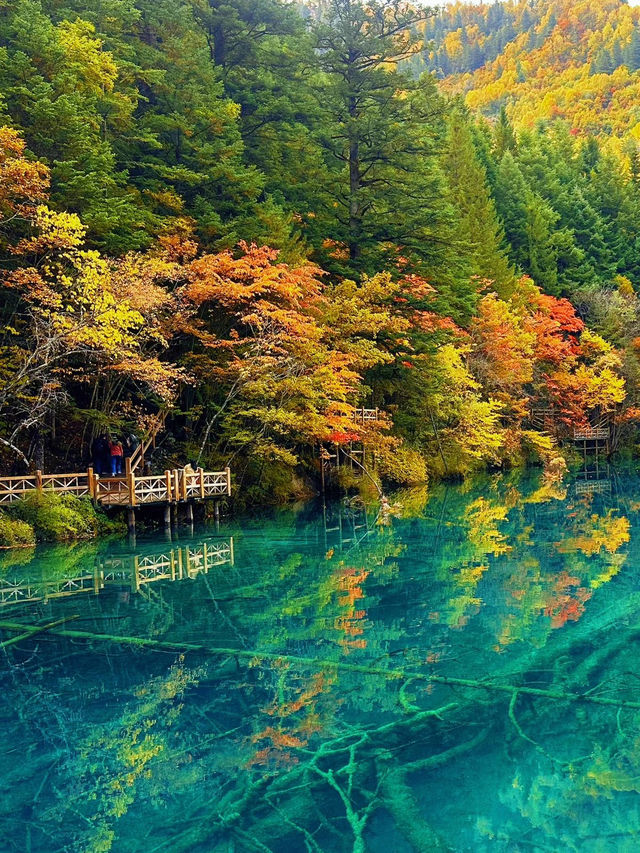 JIUZHAIGOU, CHINA – VALLEY OF FIVE COLORS