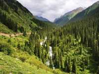 Unforgettable Altyn Arashan – Kyrgyzstan’s alpine paradise