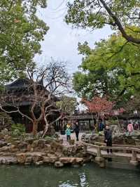 🏛️ Architectural Panorama: An Explorer's Perspective