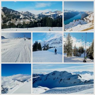パウダードリームス⛷️