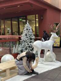 Shanghai 5-Day for the end of 2025 🇨🇳🎄