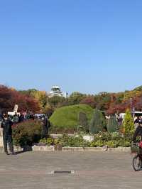 Osaka park fountain