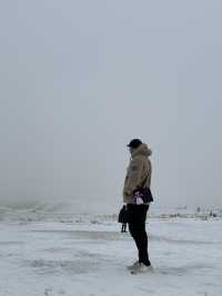 草千里變雪千里？！冬日阿蘇火山一日遊🌋