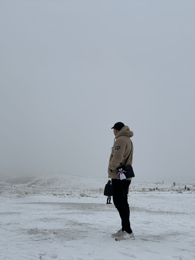 草千里變雪千里？！冬日阿蘇火山一日遊🌋