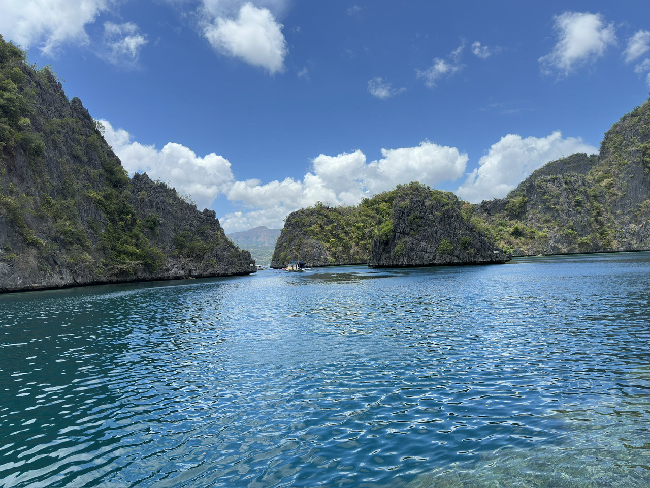 ทัวร์เจาะลึกเกาะบุซังกา 6 วัน: ผ่อนคลายด้วยบ่อน้ำพุร้อน ดำน้ำดูซากเรือจม เที่ยวชมชายหาดบนเกาะ และสำรวจสัตว์ป่า