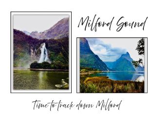 Milford Road: One of the Most Scenic Driving Routes in the World.