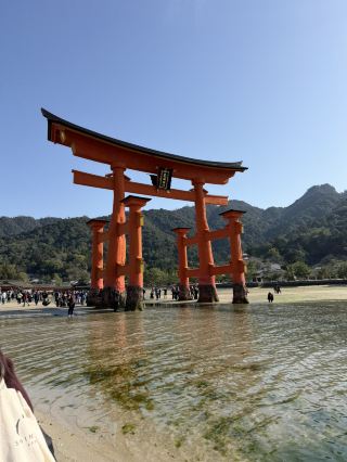 広島・呉で楽しむ、港町とご当地グルメ旅🚃🚢