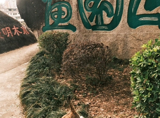 Hulu Mountain — From a Sea of People to a Mountain of Silence | Trip.com Chaozhou