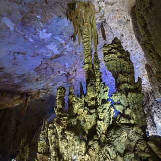 The "Ancient Banyan Shining in Glory" Stone Forest in a Karst Cave.