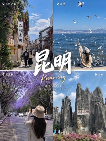 🌿 中国雲南省の最高の魅力を発見しよう🇨🇳✨ | Trip.com 昆明